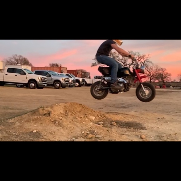 Meet you posher Logan - Picture 1 of 1